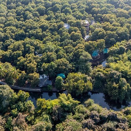 Brook Ville Sasan Gir Exterior foto